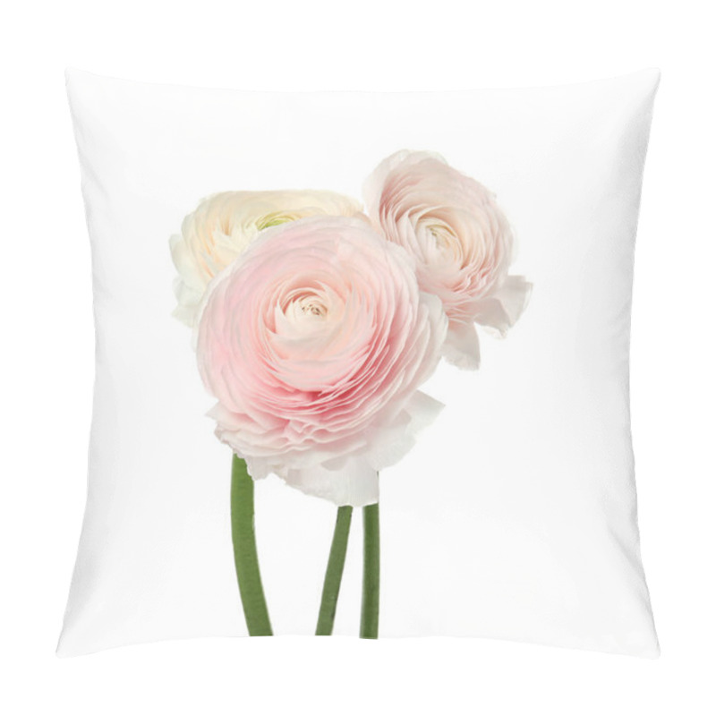 Personality  Beautiful Spring Ranunculus Flowers Isolated On White Pillow Covers