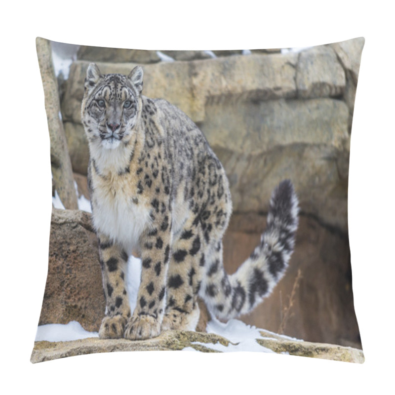 Personality  Snow Leopard Pillow Covers