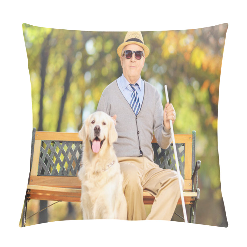 Personality  Senior Blind On Bench With Labrador Pillow Covers