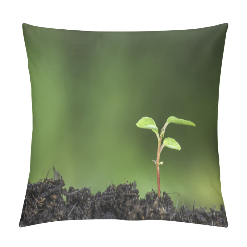 Personality  Close Up Of A Plant Sprouting From The Ground With Vivid Green Bokeh Background Pillow Covers