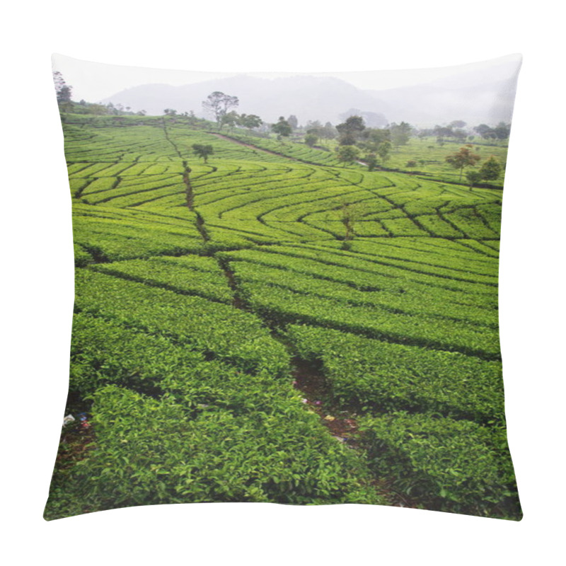 Personality  Malabar Tea Plantations Is Located In Bandung. Travel In Bandung Pillow Covers