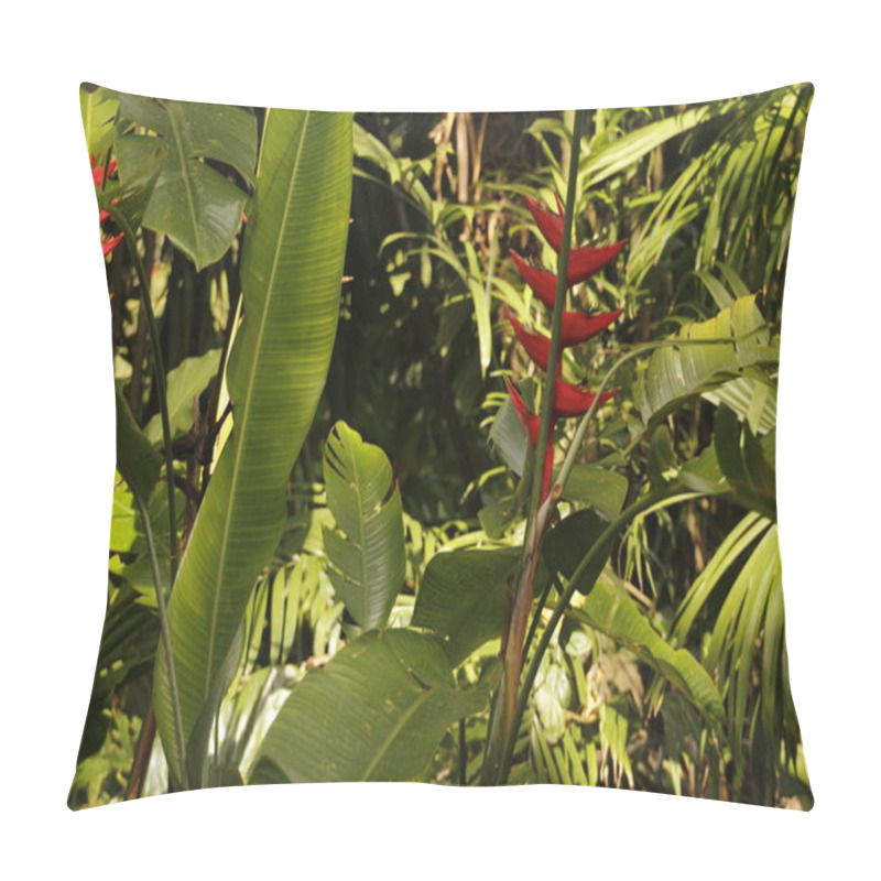 Personality  Tropic Vegetation In A Park Of Miami Pillow Covers