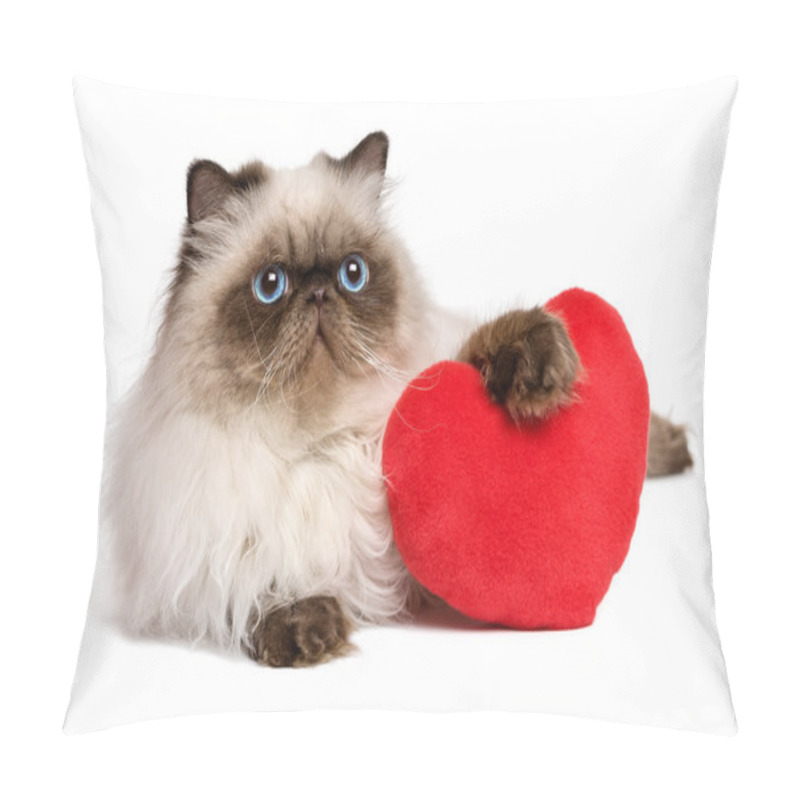 Personality  Lover Valentine Persian Colourpoint Cat With A Red Heart Pillow Covers