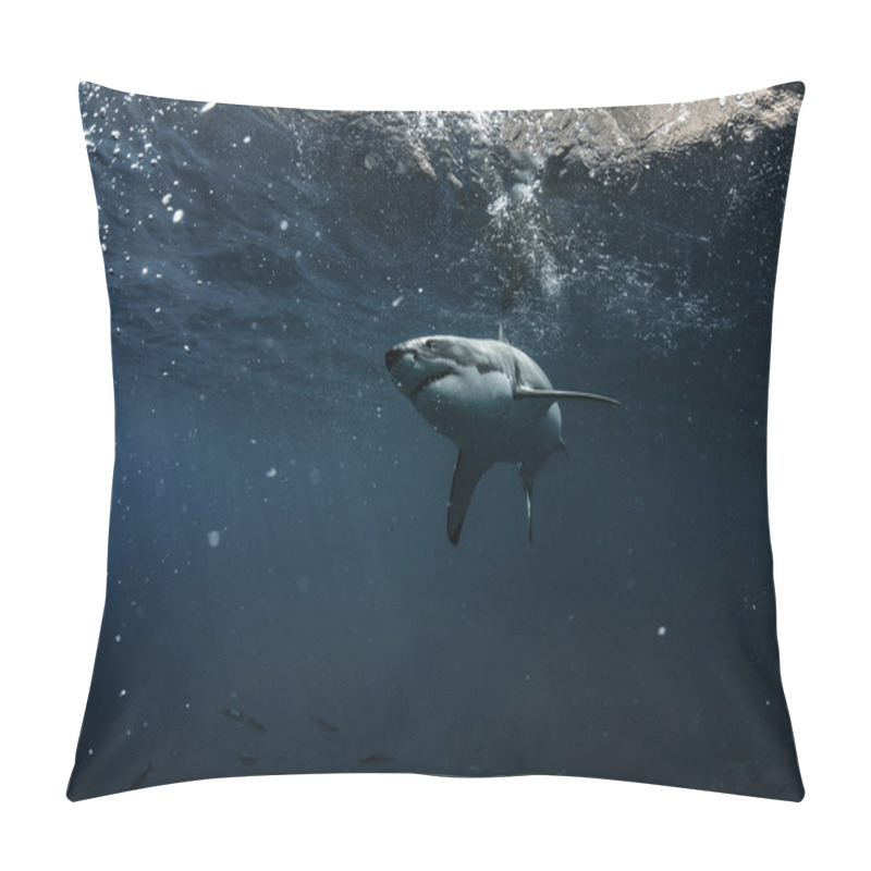 Personality  Great White Shark In Pacific Ocean Closeup Portrait Pillow Covers