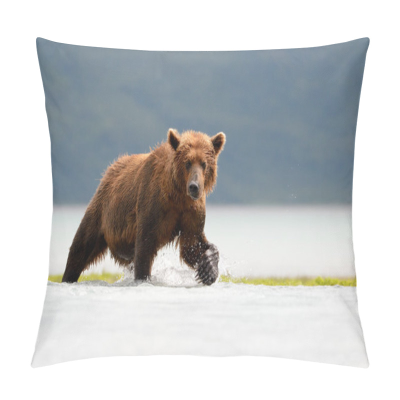 Personality  Grizzly Bear Pillow Covers