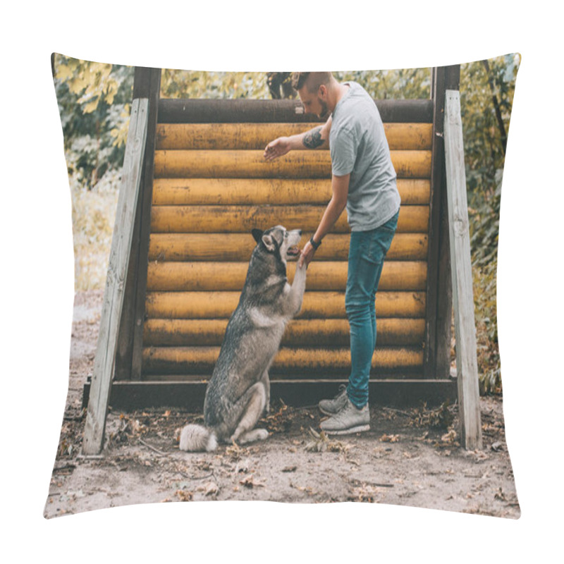 Personality  Cynologist Training With Siberian Husky Dog On Jumping Obstacle  Pillow Covers