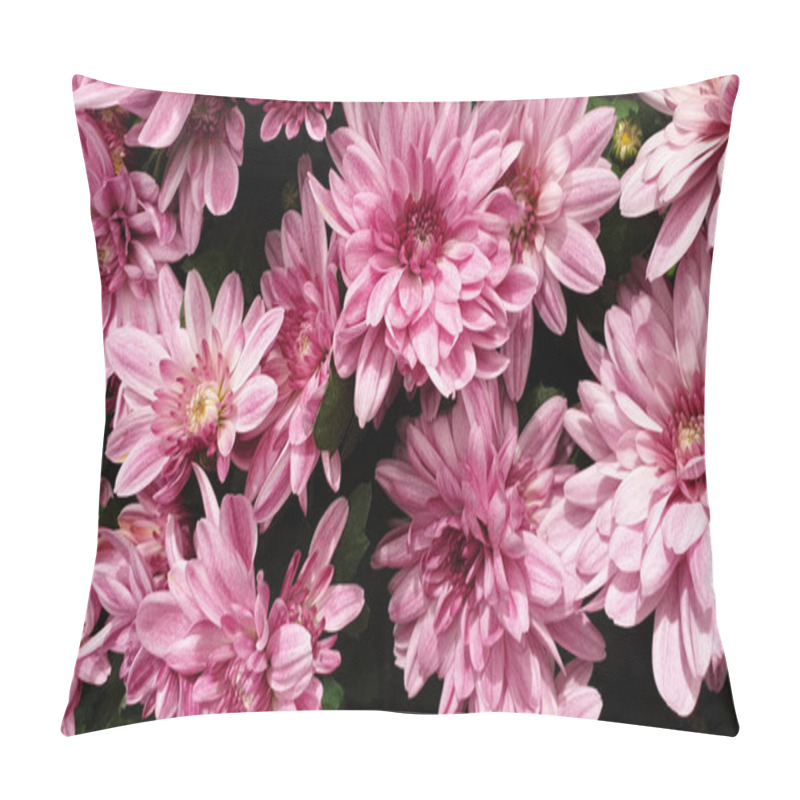 Personality  Beautiful Pink Flowers Chrysanthemum Flower Heads Pillow Covers