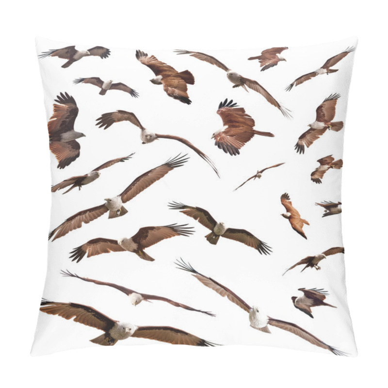 Personality  Brahminy Kite Pillow Covers