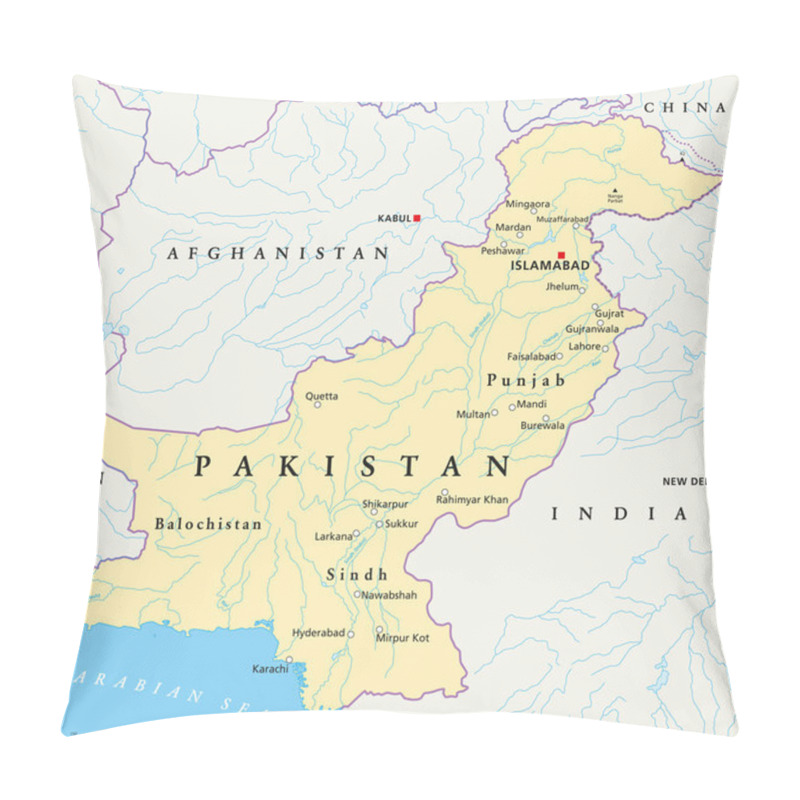 Personality  Pakistan Political Map Pillow Covers