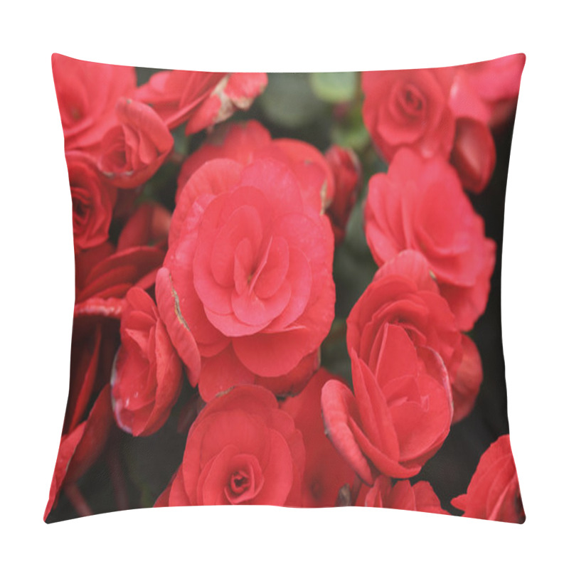 Personality  Begonia Flower Pillow Covers