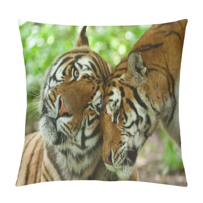 Personality  Male And Female Tiger Pillow Covers