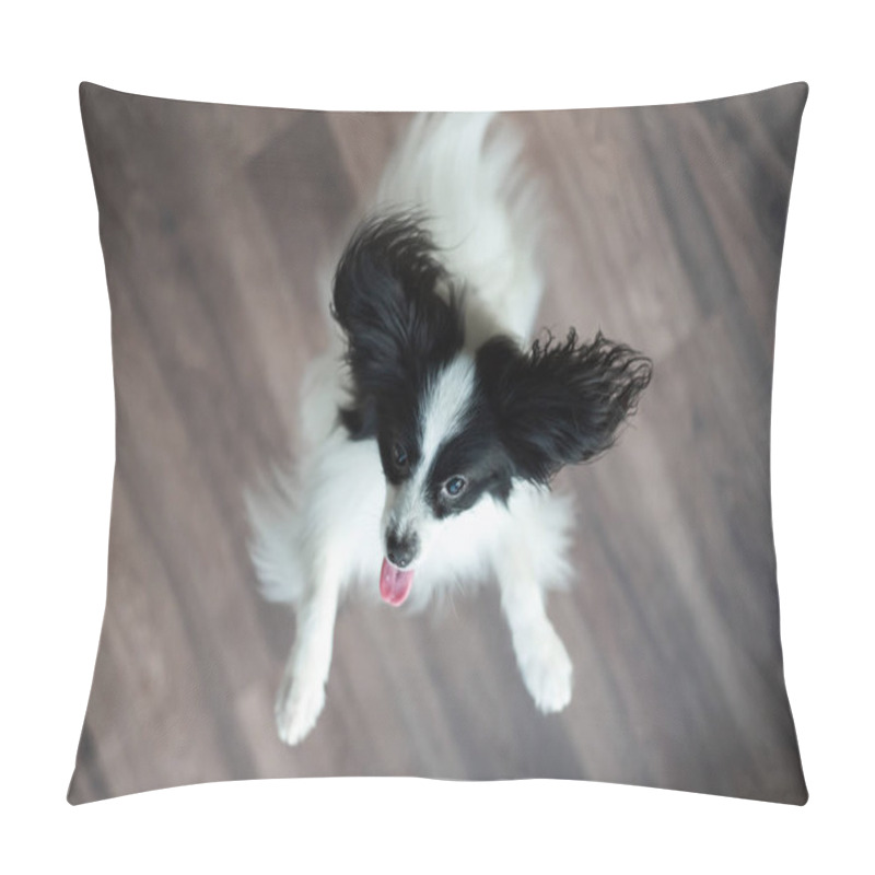 Personality  The Papillon Dog Plays And Jumps. Top View Pillow Covers