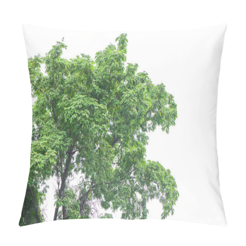 Personality  Beautiful Green Tree On A White Background In High Definition Pillow Covers