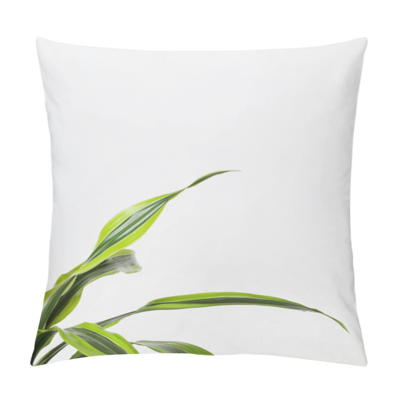 Personality  Green Leaves Border For An Angle Of Page On White Background Creative Nature Background. Minimalism Concept Selective Focus  Pillow Covers