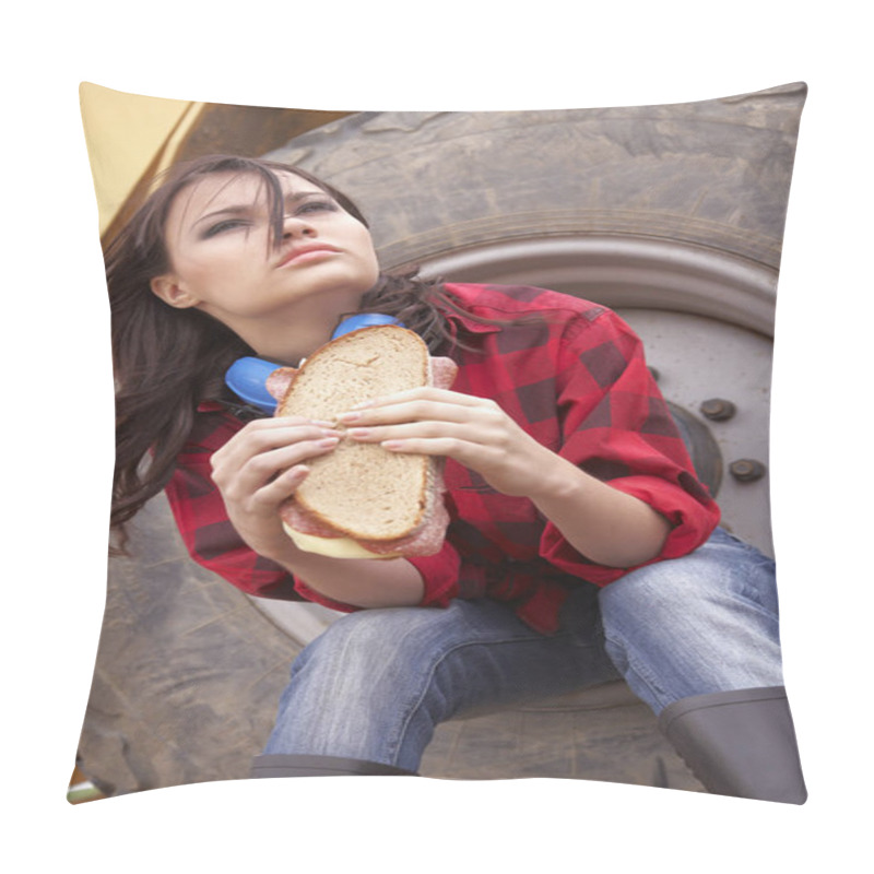 Personality  Lunch Outdoors At The Daytime  Pillow Covers