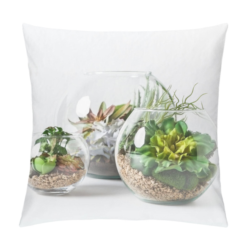 Personality  Florariums At Grey Background. Home Indoor Green Plants Concept Pillow Covers