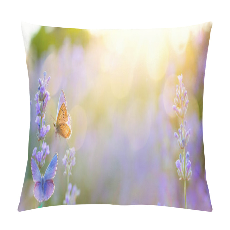 Personality  Art Summer Wild Flowers And Fly Butterfly In A Meadow At Sunset. Macro Image, Shallow Depth Of Field. Abstract Summer Nature Background With Copy Spac Pillow Covers