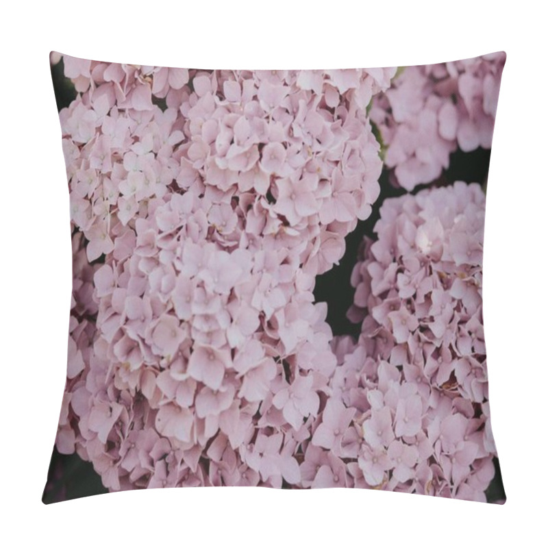 Personality  Soft Pink Hydrangea Flowers In Full Bloom, Creating A Serene Floral Display. Pillow Covers