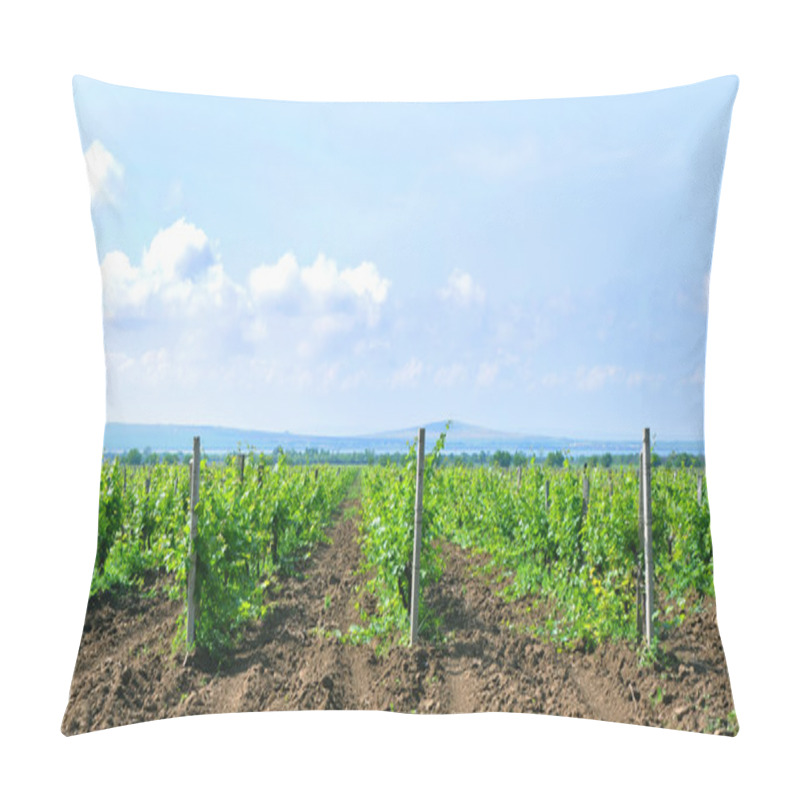 Personality  Young Vineyards Pillow Covers