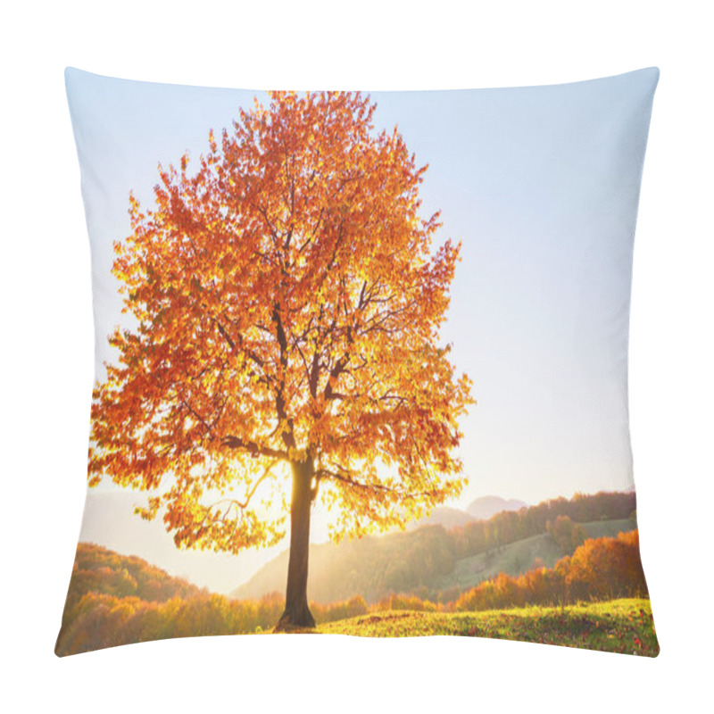 Personality  Autumn Rural Scenery With Mountains, Forests And Fields. There Is A Lonely Lush Tree On The Lawn Covered With Orange Leaves Through Which The Sun Rays Are Shining. Pillow Covers