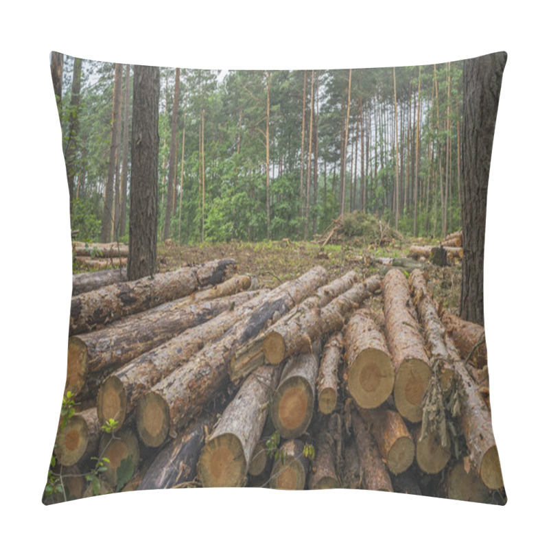 Personality  Deforestation Concept. Stumps, Logs And Branches Of Tree After Cutting Down Forest Pillow Covers