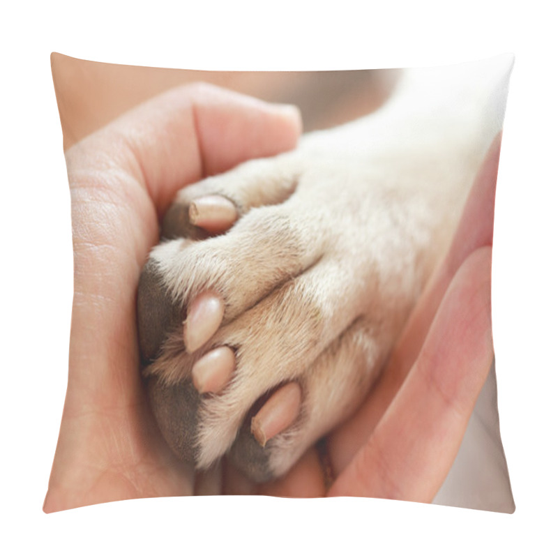 Personality  Friendship Between Human And Dog Pillow Covers