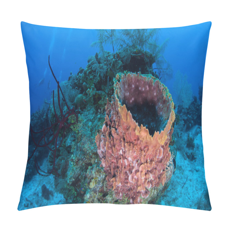 Personality  Sponges in the Caribbean Sea pillow covers