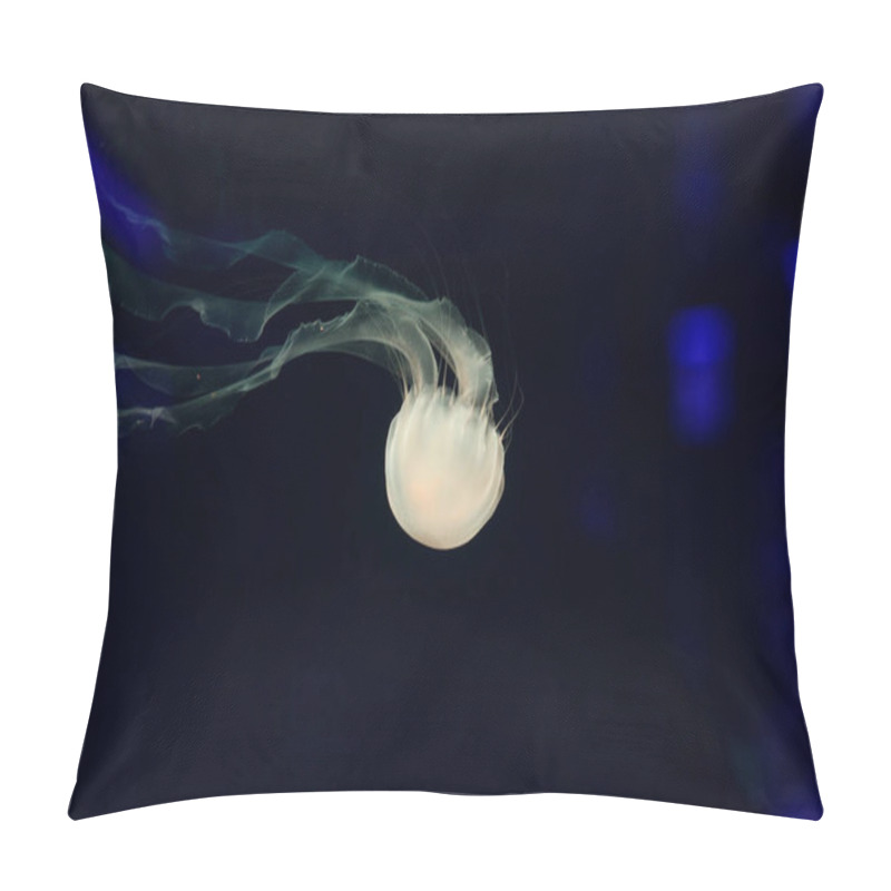 Personality  Beautiful Jellyfish, Medusa In The Neon Light With The Fishes. Underwater Life In Ocean Jellyfish. Exciting And Cosmic Sight Pillow Covers