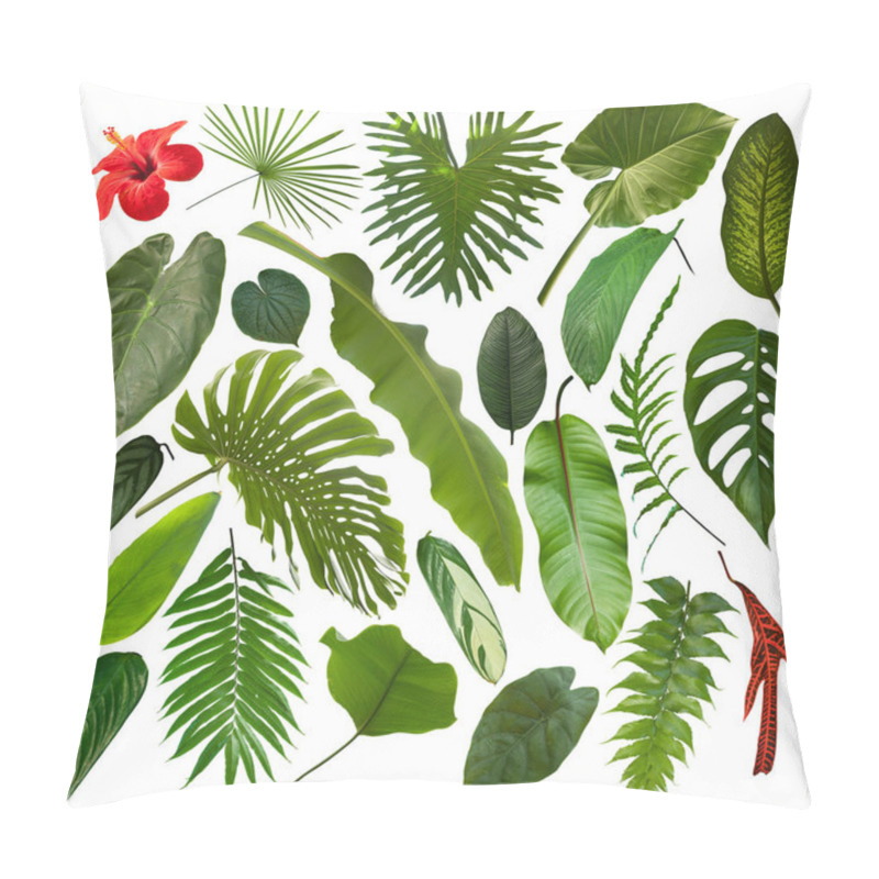 Personality  More Beautiful Exotic Tropical Leaves, Isolated Leaf Background Pillow Covers