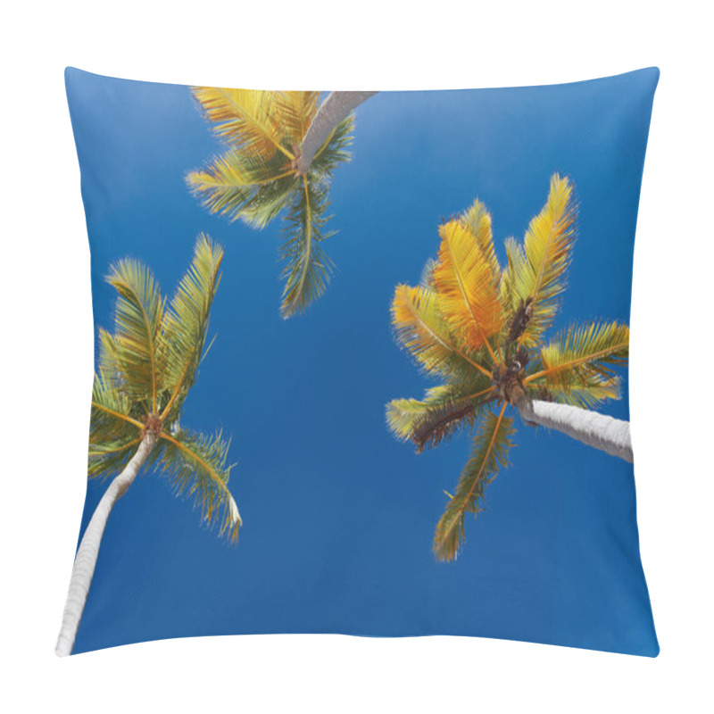 Personality  Green Palm Tree Leaves On Blue Sky Background           Pillow Covers