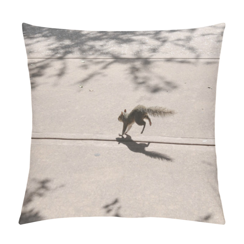 Personality  Squirrel Jumps In The Street Pillow Covers