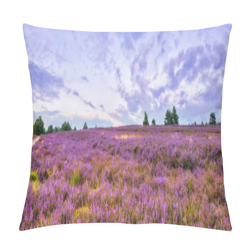 Personality  Vivid Twilight In The Famous Purple Summer Bloom Of The Lueneburg Heath, Near The Wilseder Mountain, Northern Germany Pillow Covers