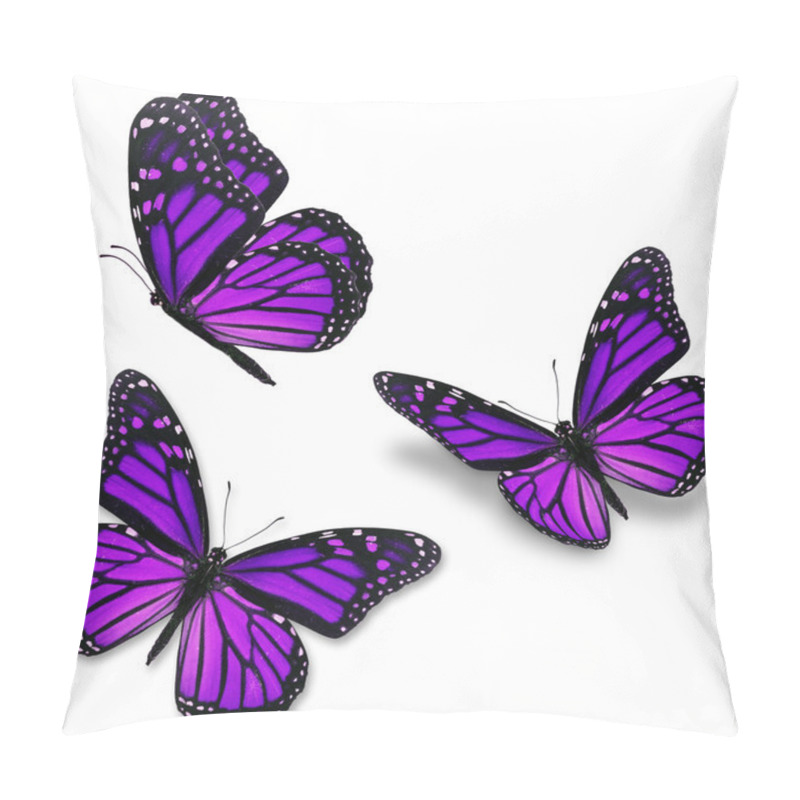 Personality  Purple Monarch Butterfly Pillow Covers