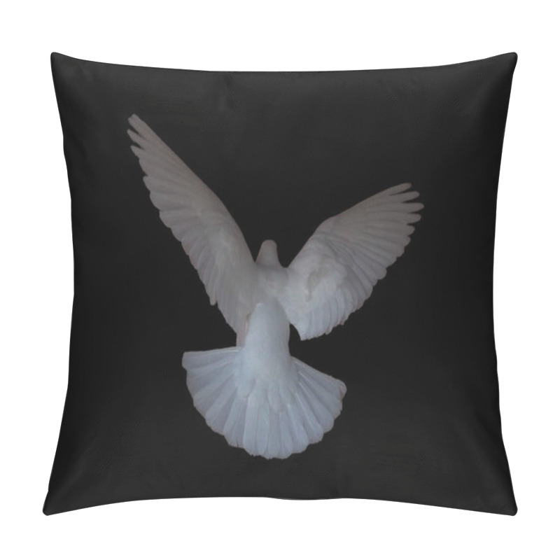 Personality  White Dove Is Flying Isolated At The Black Pillow Covers