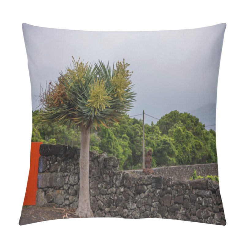 Personality  Walk On The Azores Archipelago. Discovery Of The Island Of Pico, Azores. Portugal. Madalena Pillow Covers