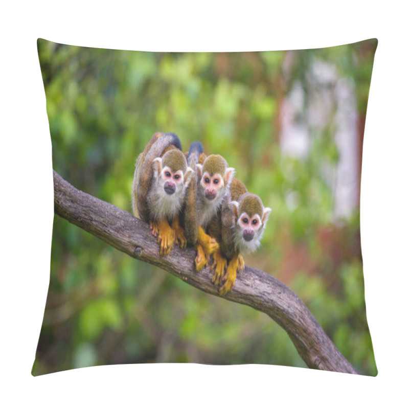 Personality  Three Common Squirrel Monkeys Sitting On A Tree Branch Pillow Covers