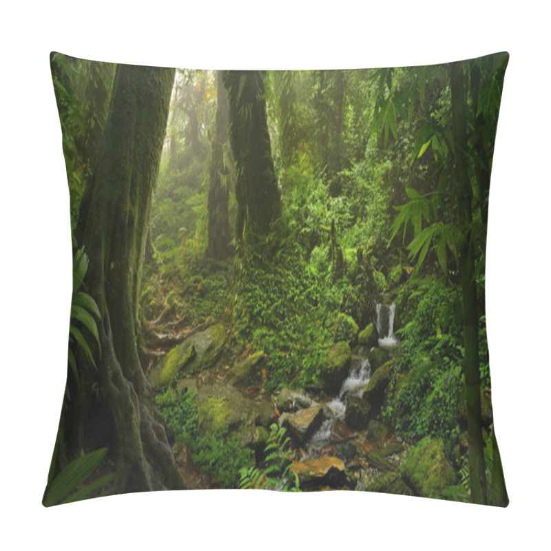 Personality  Tropical Rain Forest In Asia Pillow Covers