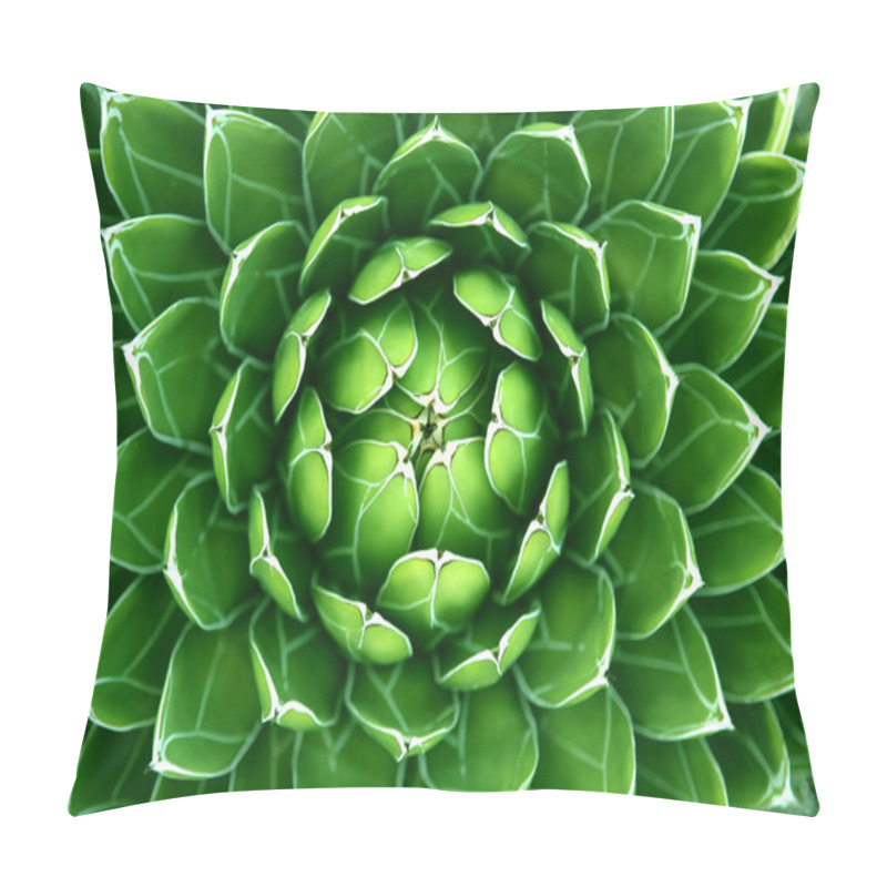 Personality  Green Cactus Background Pillow Covers