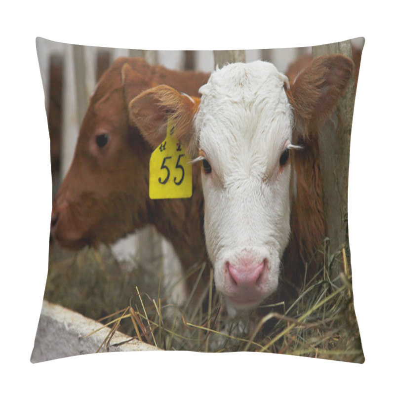 Personality  Bull Calf Pillow Covers