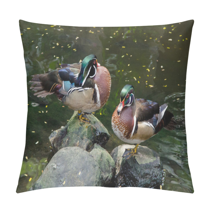 Personality  Mandarin Duck Pillow Covers