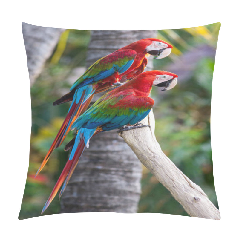 Personality  Portrait Of Macaw Birds In The Zoo Pillow Covers