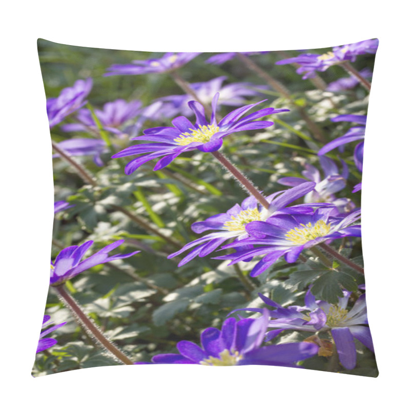 Personality  Anemone Blanda Flowers In The Garden Pillow Covers