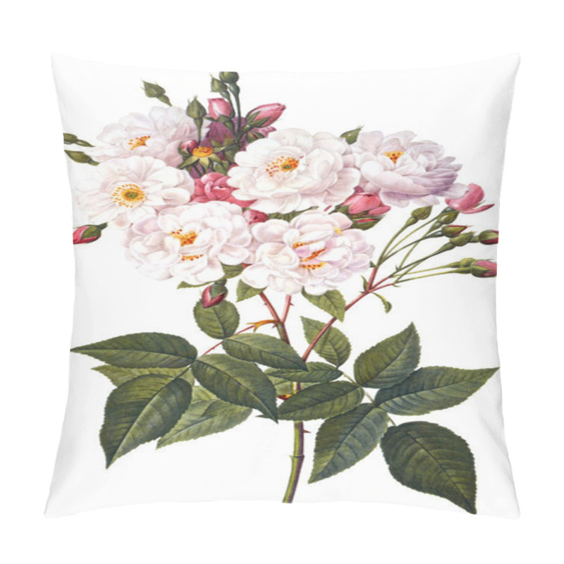 Personality  Flower Illustration Pillow Covers