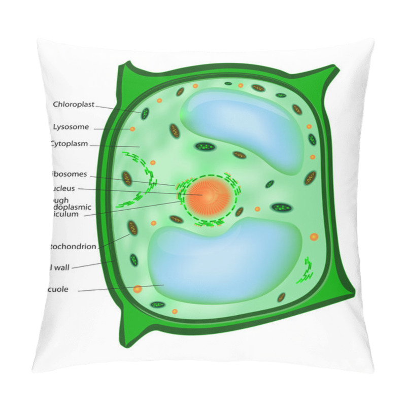 Personality  Plant Cell Pillow Covers