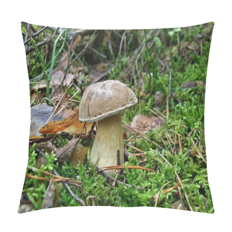 Personality  Mushroom Tylopilus Felleus Pillow Covers