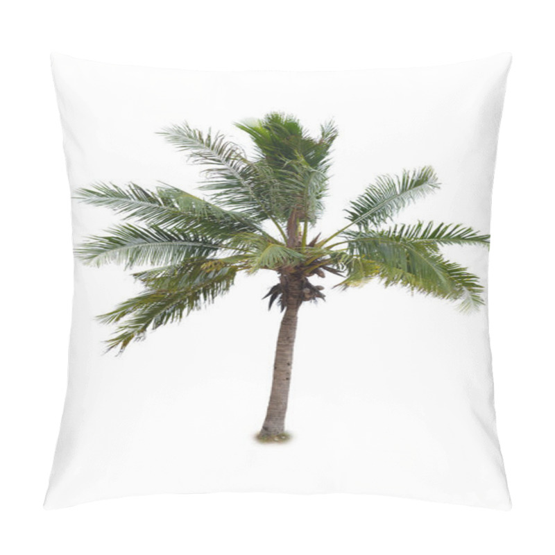 Personality  Coconut Tree Tropical Island Plant Isolated On White Background Pillow Covers