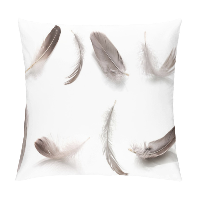 Personality  Collage Of Fluffy Feathers Isolated On White Pillow Covers