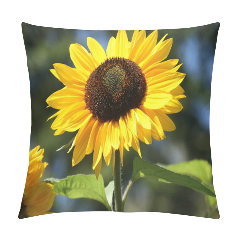 Personality  Sunflower Petals, Yellow Flora Pillow Covers