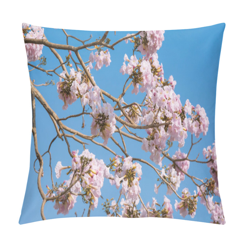 Personality  Background With Pink Spring Blossoms. Pillow Covers