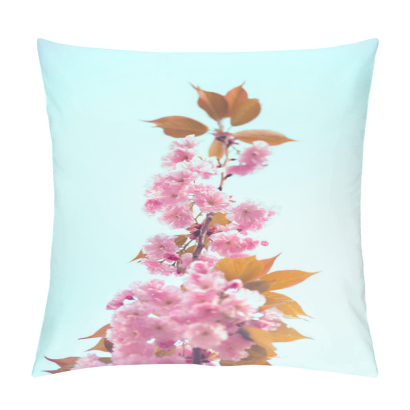 Personality  Pink Cherry Blossoms Against A Blue Sky Pillow Covers